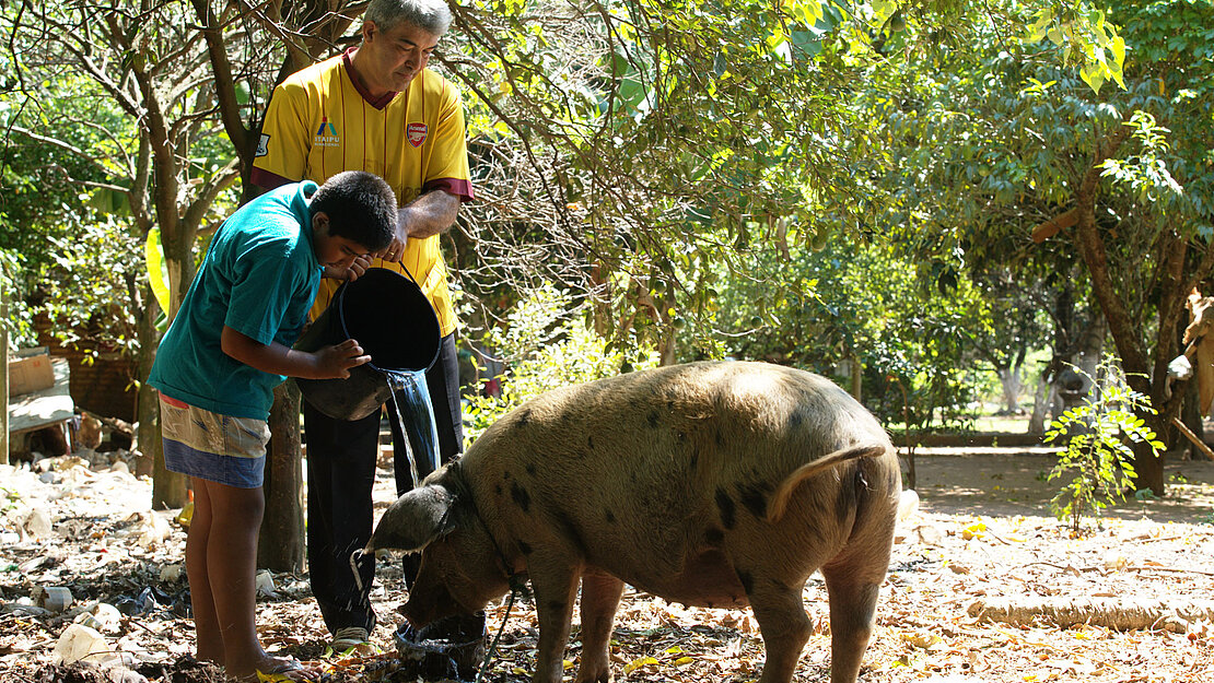 Adolfo und sein Sohn füttern das Schwein der Familie. 
