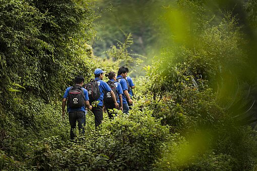 Gruppe von Plan-Mitarbeitenden läuft durch Dschungel.