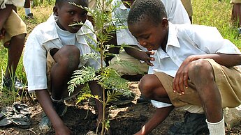 Im Rahmen des Projektes in Tansania pflanzen Kinder auch auf dem Gelände ihrer Schule Bäume.