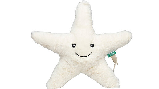 Cremefarbender Plüsch-Stern mit lächelndem Gesicht.