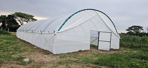 Auf einem Feld steht ein großes weißes Gewächshaus.