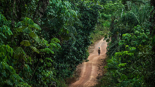 Die Menschen ziehen immer weiter ins Inland, weit weg vom steigenden Meeresspiegel. Eine Straße führt durch einen dichten Wald.