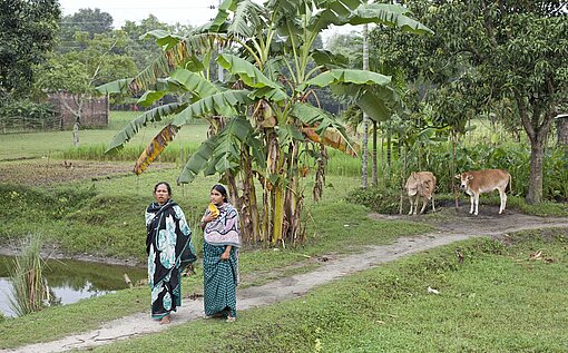 Nach UN-Angaben werden rund 50 Prozent der bangladeschischen Frauen verheiratet, bevor sie 18 Jahre alt sind Zwei Frauen stehen in einem Reisfeld in Bangladesch