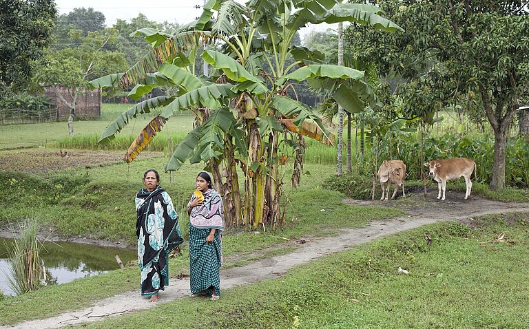 Zwei Frauen stehen in einem Reisfeld in Bangladesch
