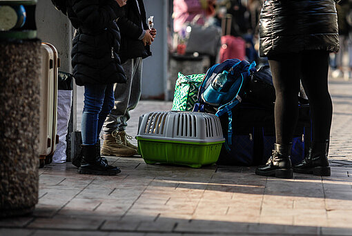 Ein Transportkäfig für Kleintiere steht auf dem Boden neben Menschen und Koffern
