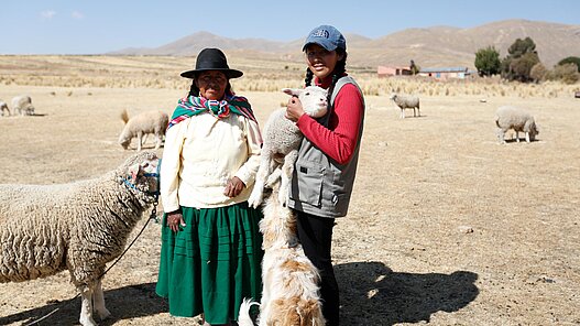 Schafe für Jugendliche in Bolivien