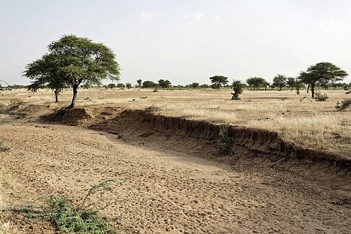 Trockene Felder in Niger