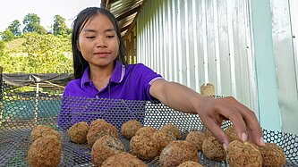 Eine junge Frau wendet kleine Bälle aus Körnern auf einem Metallgitter