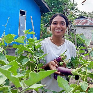 Anita erntet Auberginen in ihrem Gemüsegarten 
