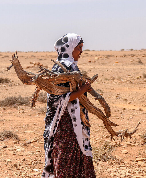 Eine 24-jährige Somalierin hält Brennholz in den Armen in einer kragen Landschaft