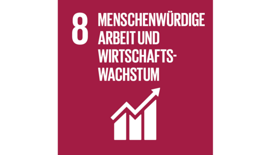 SDG 8 Menschenwürdige Arbeit und Wirtschaftswachstum