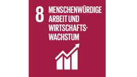 SDG 8