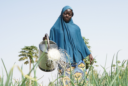 Bild: Eine Frau gießt ihre Felder mit Wasser