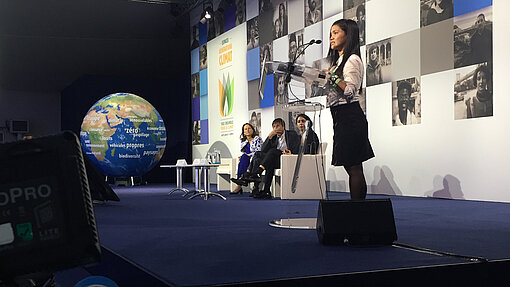 Marinel sprach 2015 auf der UN-Klimakonferenz in Paris. Marinel spricht an einem Pult auf einer Bühne.