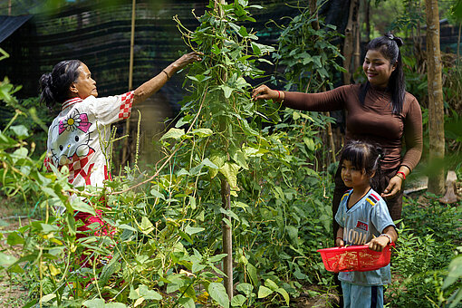 rei Generationen – Großmutter, Mutter und Kind – pflücken Bohnen in einem Garten in Kambodscha.