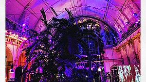 Das Café-Restaurant Palmenhaus Burggarten wird im inneren in pink erleuchtet.