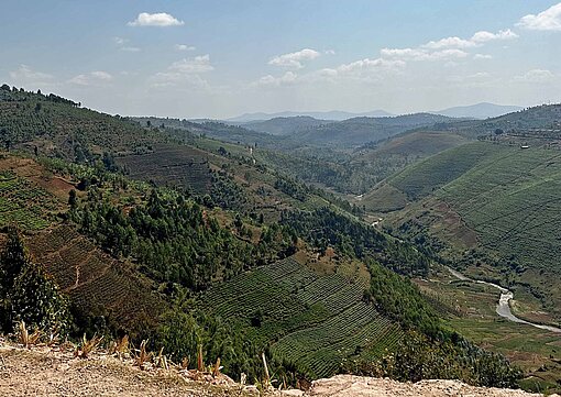 Das ostafrikanische Ruanda gilt als Land der 1.000 Hügel Grüne Hügel- und Bergketten