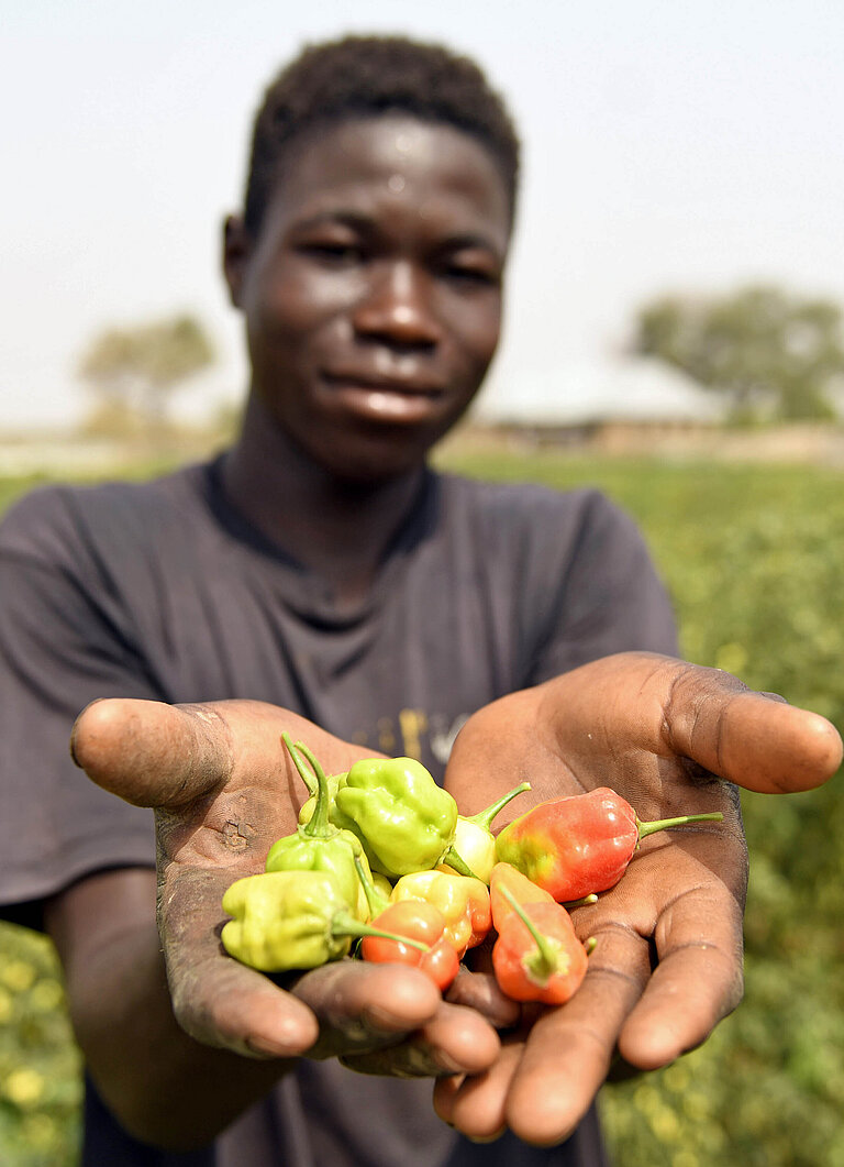 Kwame aus Ghana auf seinem Feld