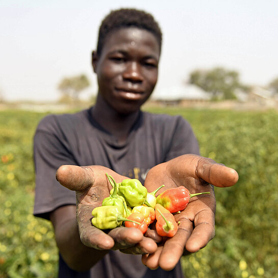 Kwame aus Ghana auf seinem Feld