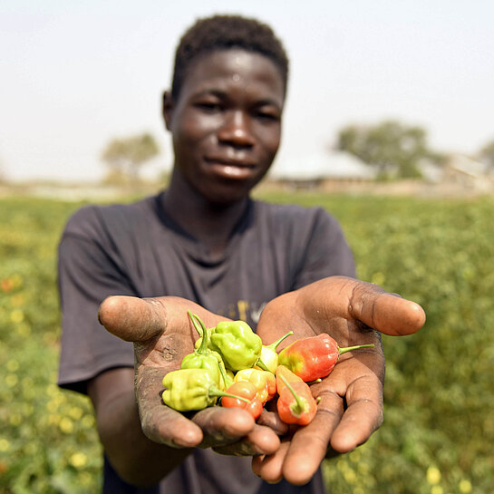 Kwame aus Ghana auf seinem Feld