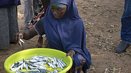Fischzucht in Sambia