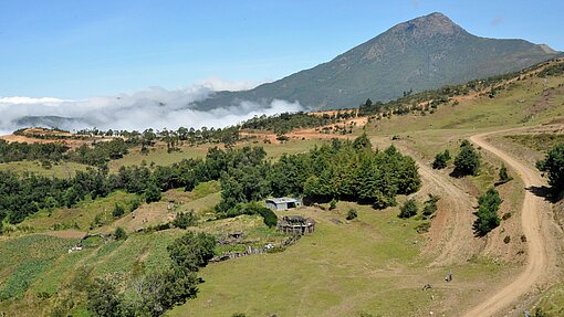 In den Bergen von Timor-Leste In den Bergen von Timor-Leste
