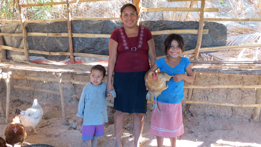 Hühner für Familien in El Salvador