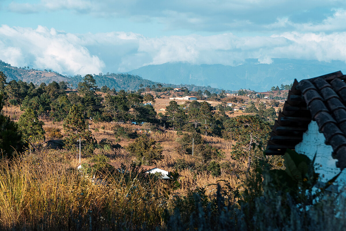 7 Fakten über DengueFieber Plan Österreich