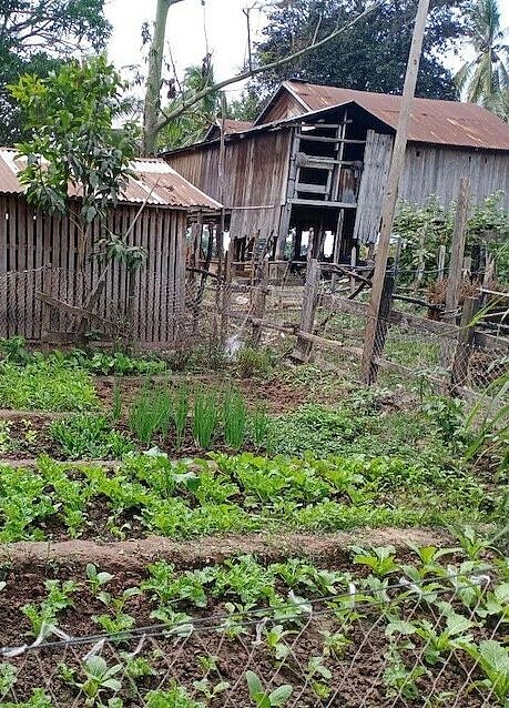 Holzhaus mit Gemüsegarten im Vordergrund