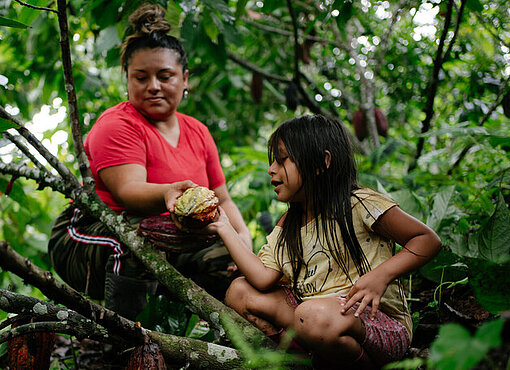 Yenny und ihre Tochter pflücken Kakaofrüchte auf einem Hanggrundstück in Ecuador, das durch Erdrutsche gefährdet ist.