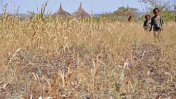 Der Klimawandel führt bereits in vielen Weltregionen zu mehr und längeren Trockenzeiten. ©Plan International