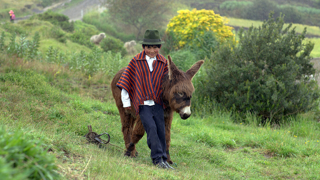 Ein Junge steht mit einem Esel an einem Hügel auf einer Wiese