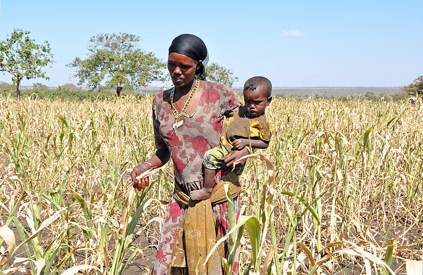 Plan_20160603_International_Afrika_Äthiopien_ElNino3 Plan_20160603_International_Afrika_Äthiopien_ElNino3