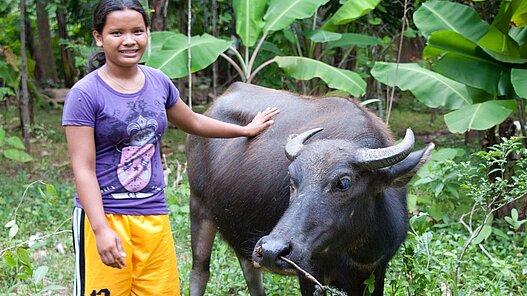 Wasserbüffel helfen Bauernfamilien auf den Philippinen, ein Einkommen zu erzielen und die Ernährung zu sichern.
