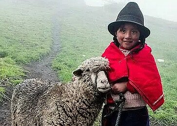 Patenkind mit Schaf