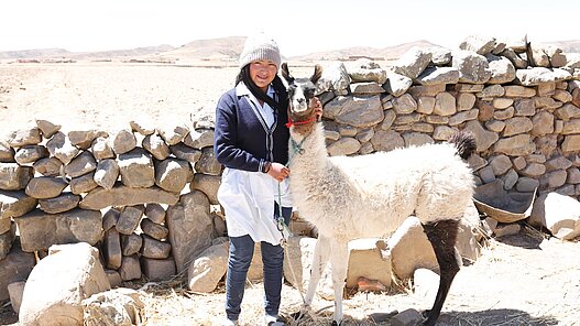 Lamas für Jugendliche in Bolivien