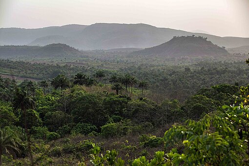 Eine erhaben schöne Ebene voller grüner Bäume mit Hügeln und Bergen in Guinea