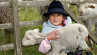 Die Zucht von Schafen bietet in den ländlichen Regionen gute Einkommensmöglichkeiten.