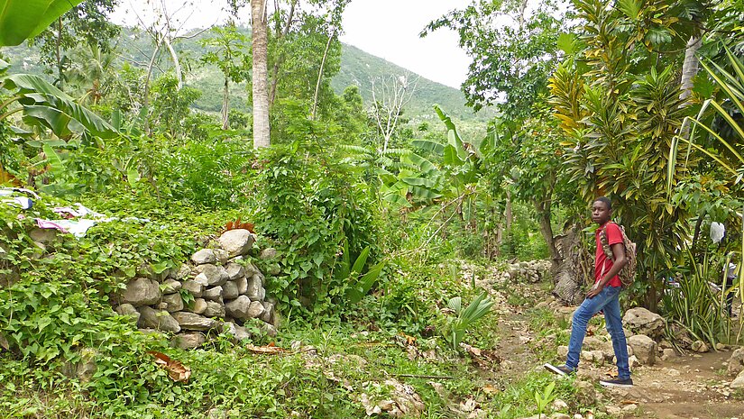 Der Schulweg führt Dayson durch das immer grüne Unterholz in den Bergen des Massif de la Selle. © Foto: Plan/Marc Tornow