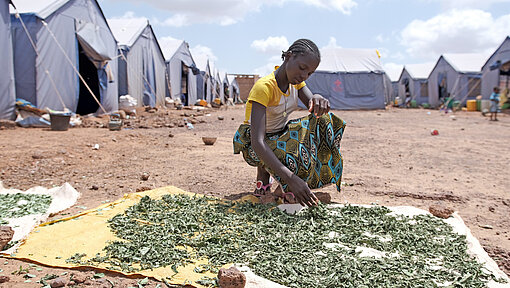 Was sind die indirekten Auswirkungen von Hunger? Ein Mädchen breitet Blätter auf einem Tuch aus, um sie trocken zu lassen