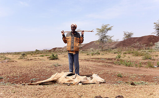 Überall in der Region Oromia in Äthiopien sind Rinder verdurstet Überall in der Region Oromia in Äthiopien sind Rinder verendet