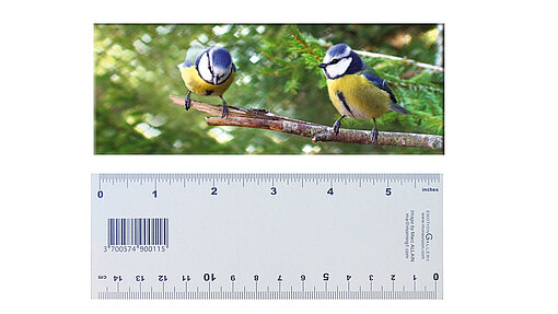 3-D Lineal Motiv Blaumeise Vorder- und Rückseite Lineal Motiv Blaumeines
