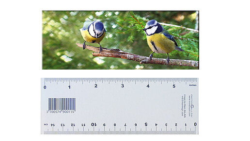 3-D Lineal Motiv Blaumeise Vorder- und Rückseite Lineal Motiv Blaumeines