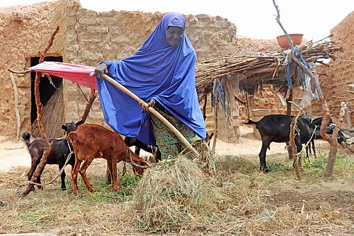 Plan International unterstützt eine nachhaltige Landwirtschaft in Niger