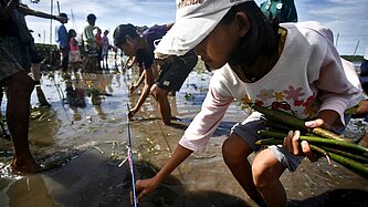 Kinder helfen beim Pflanzen der Mangroven © Nana Buxani/Plan