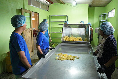 Mehrere junge Frauen und Männer, alle mit blauen Haarnetzen und Handschuhen ausgestattet, arbeiten gemeinsam in einer Lebensmittelverarbeitungsstätte. Sie stehen um einen großen Edelstahltisch mit einem Sieb, auf dem getrocknete Bananenchips liegen.