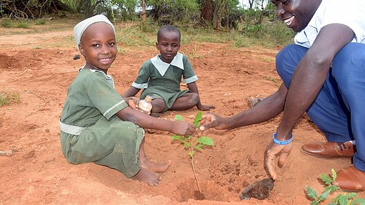 Baumschulen für den Klimaschutz in Sambia