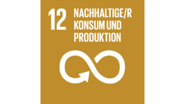 SDG 12