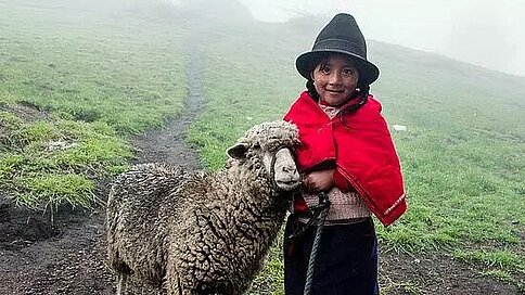 Kind aus Ecuador mit Schaf