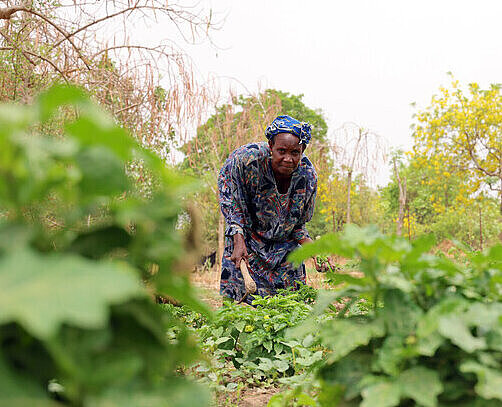 Oumou arbeitet in ihrem Stück Garten Eine Frau bei den Gartenarbeiten